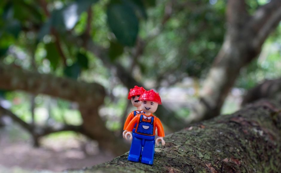 Blind box e giocattoli da collezione, nasce un nuovo marketplace dedicato: cosa cambia davvero per chi compra
